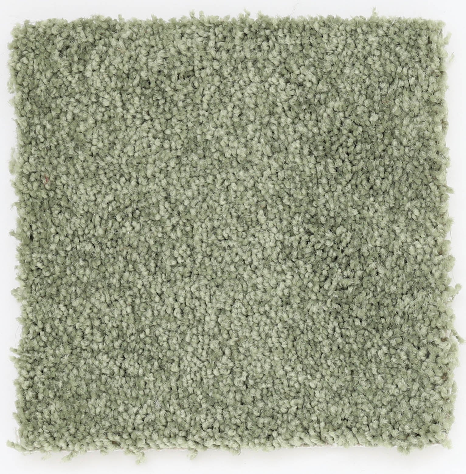 50oz Green Plush Cut Pile - 112463