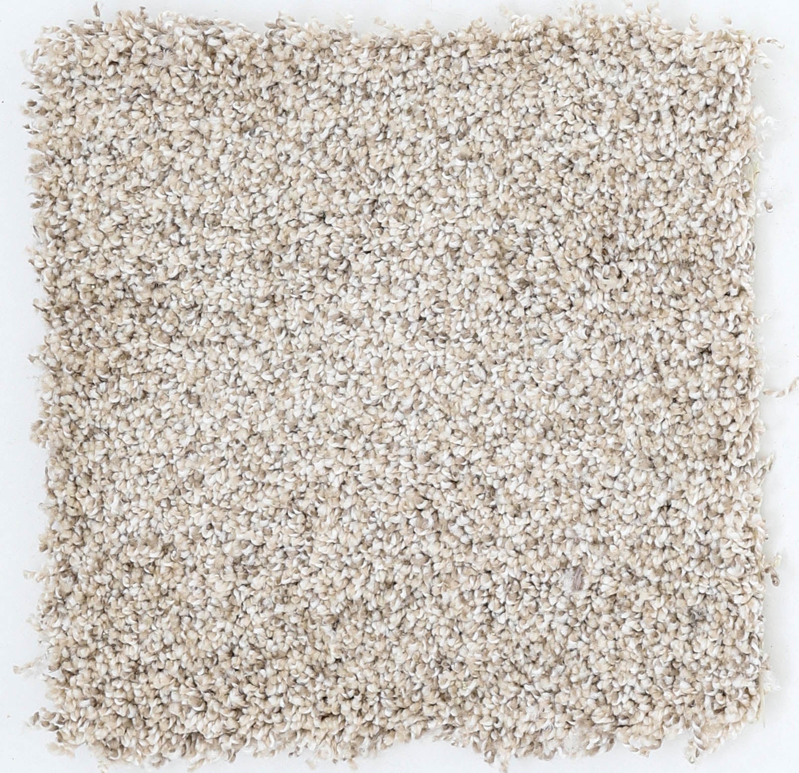 50oz Plush Frieze - 111306