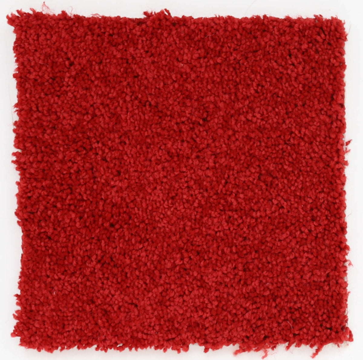 50oz Apple Red Plush Cut Pile - 112461