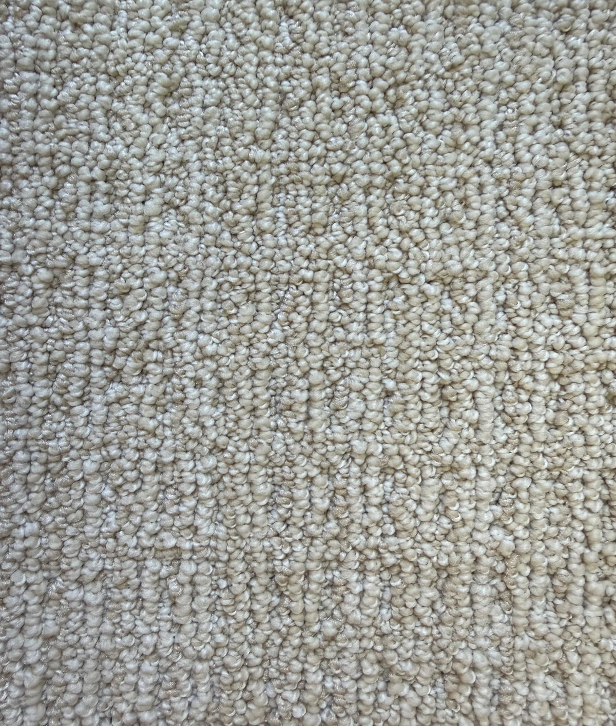 40oz Berber - 113124