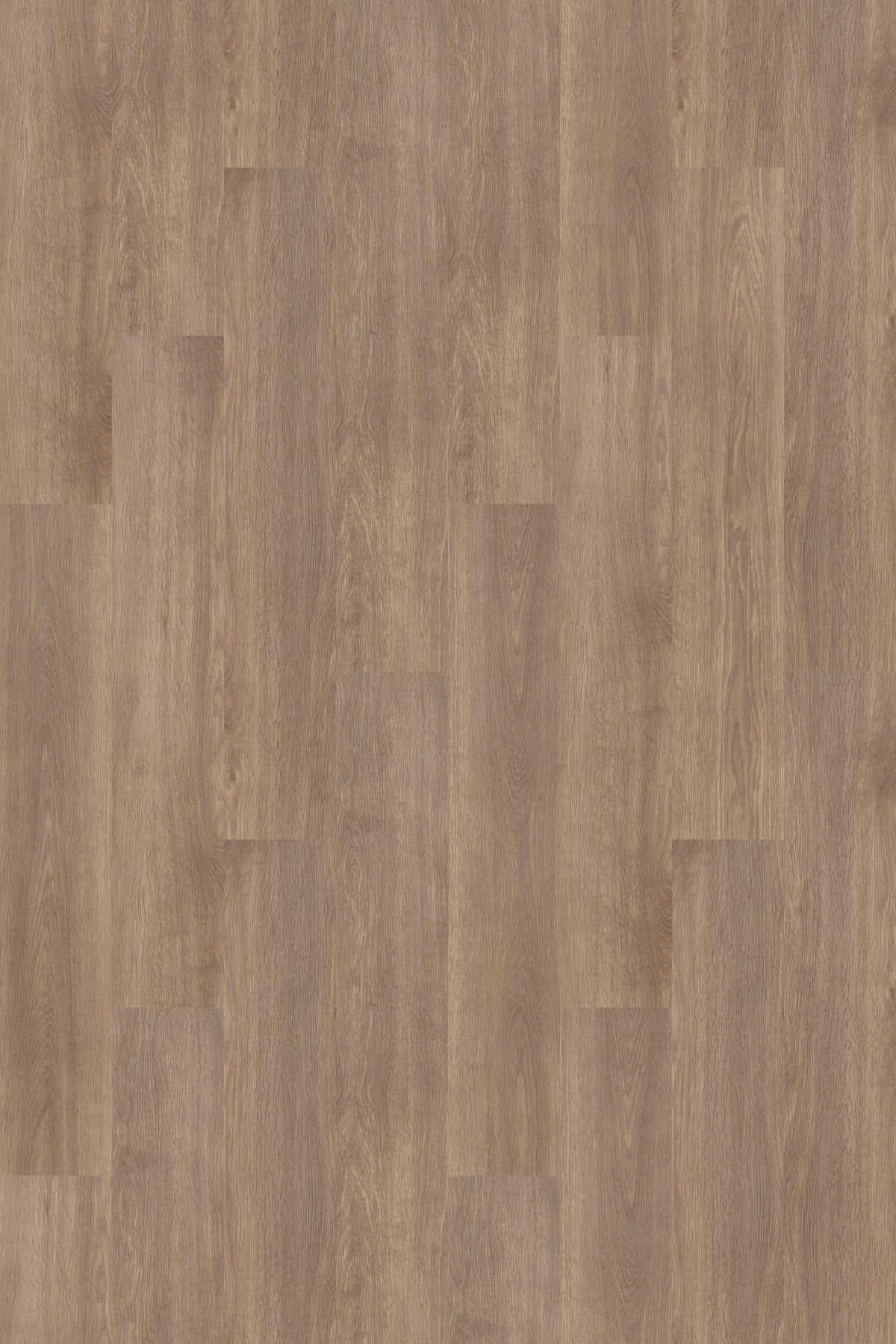 2.7mm Glue Down 8x48 Vinyl Plank - Country Pine - 52749