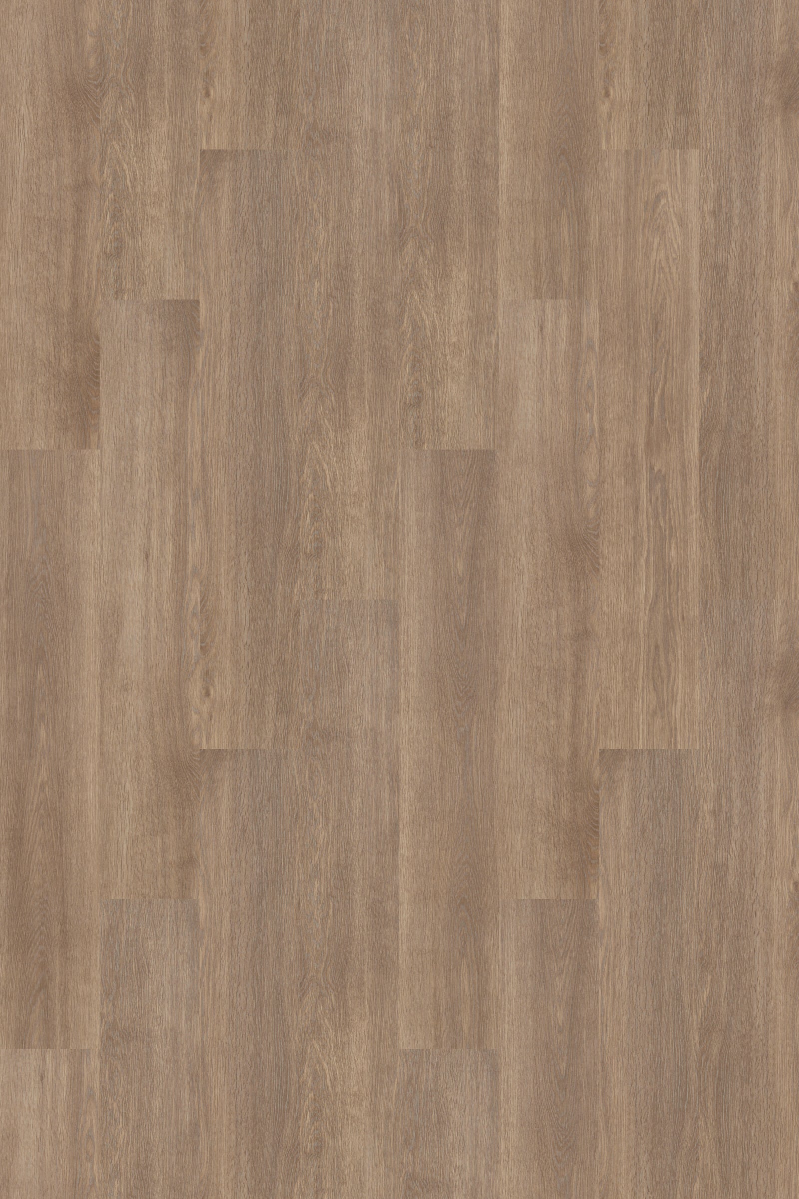 2.7mm Glue Down 8x48 Vinyl Plank - Country Pine - 52749