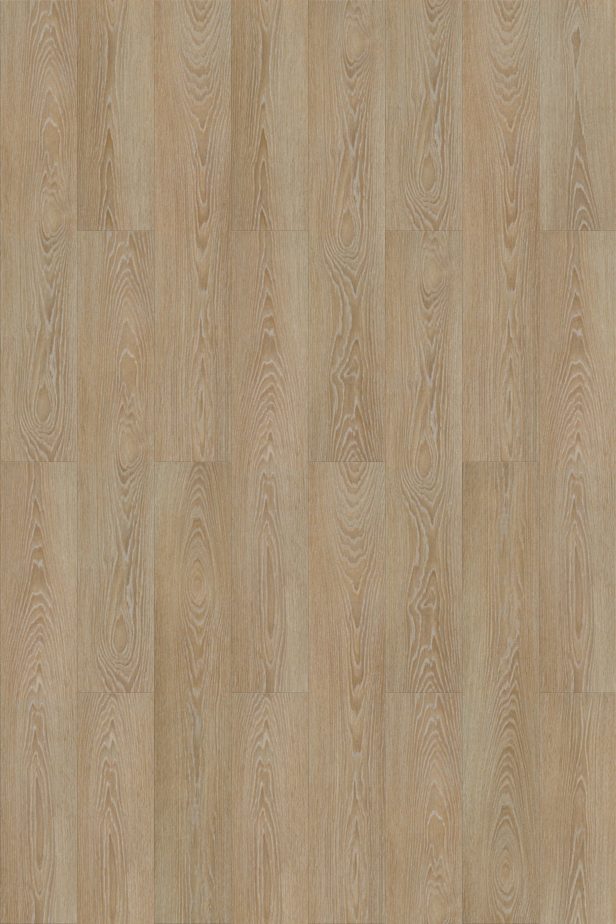 2.7mm Glue Down 8x48 Vinyl Plank - White Oak - 52752