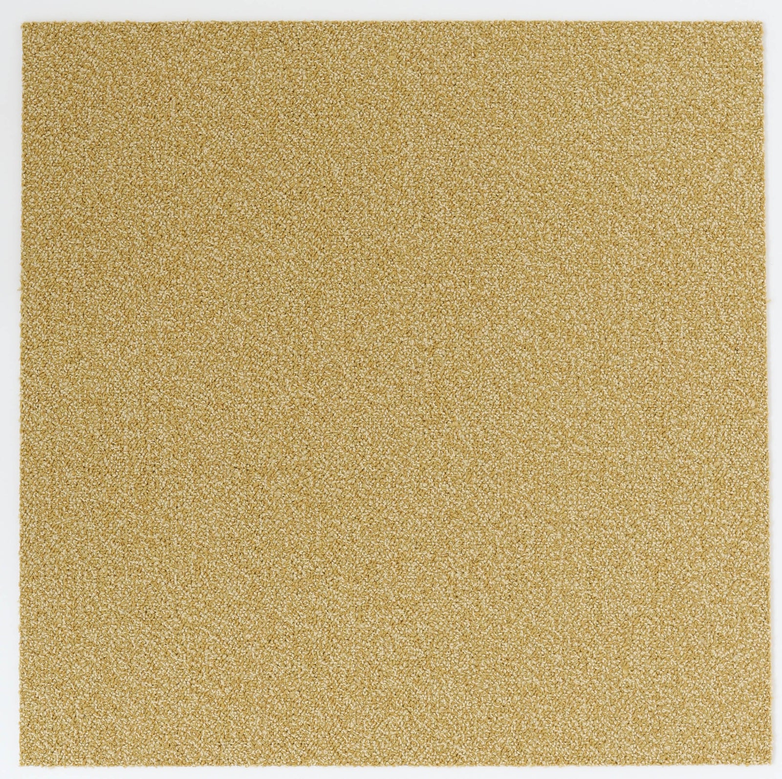 Commercial Carpet Tile 24x24 - 53054