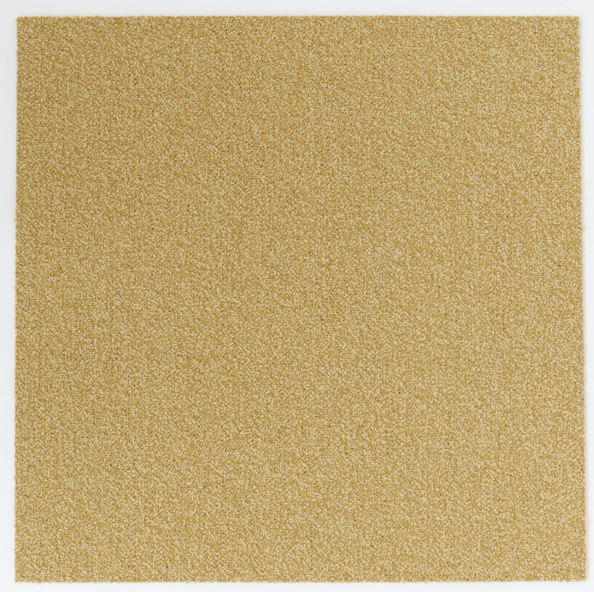 Commercial Carpet Tile 24x24 - 53054