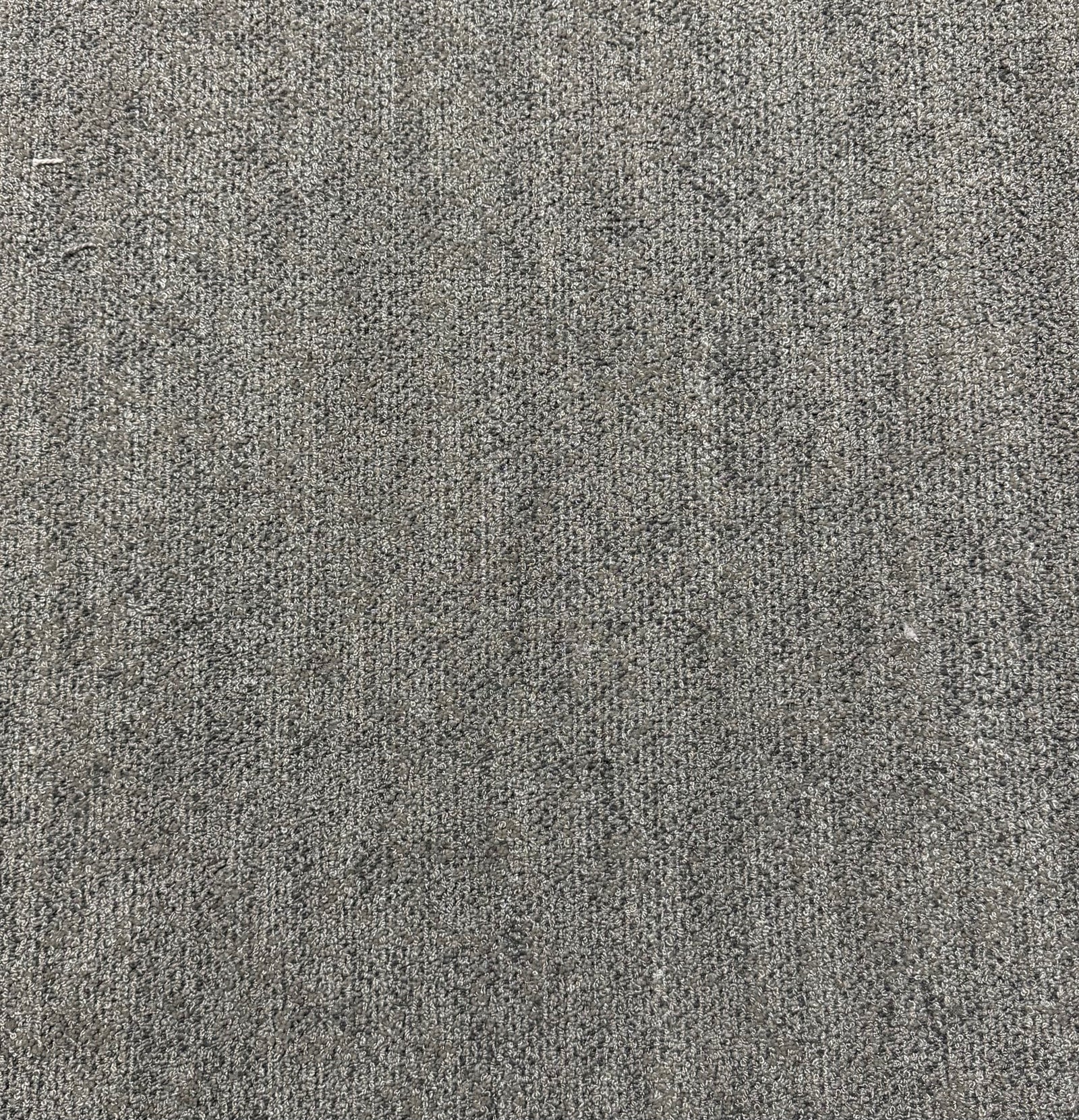 Commercial Carpet Tile 24x24 - 53508
