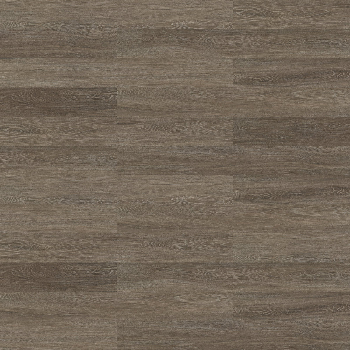 2mm Glue Down 6x48 Vinyl Plank - Library - 53667